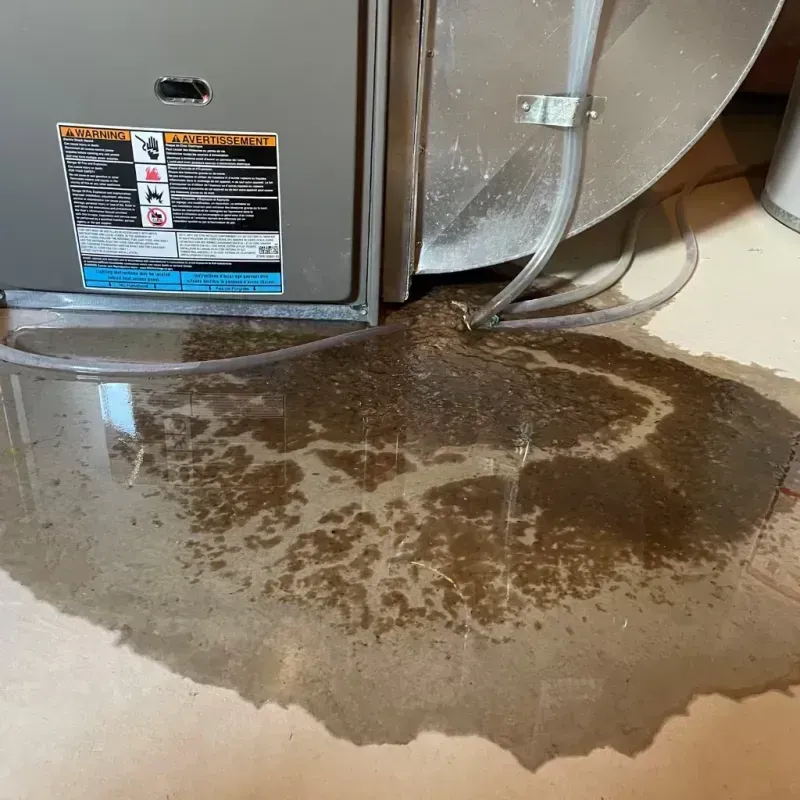 Appliance Leak Cleanup in Covina, CA